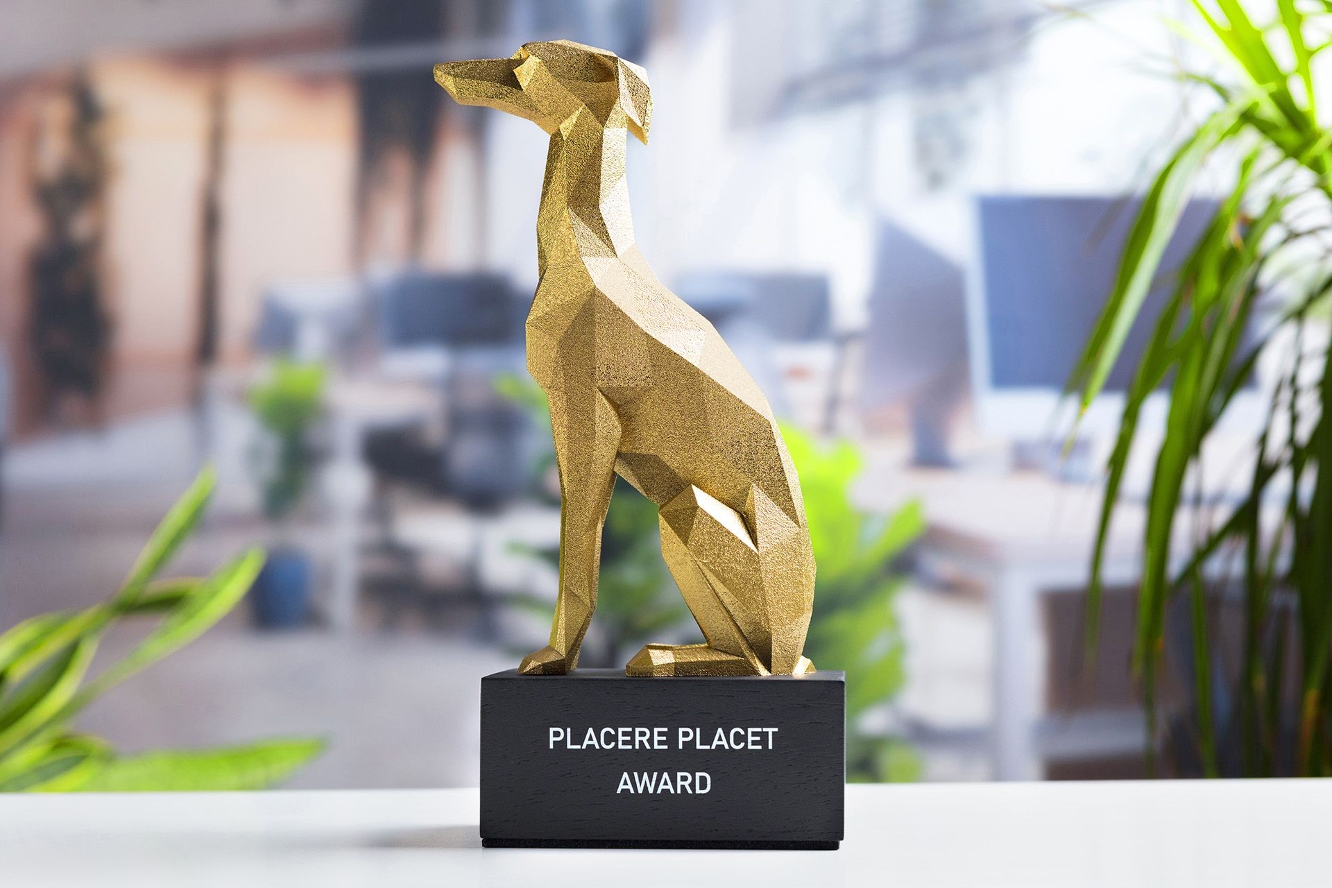 Glasso custom award