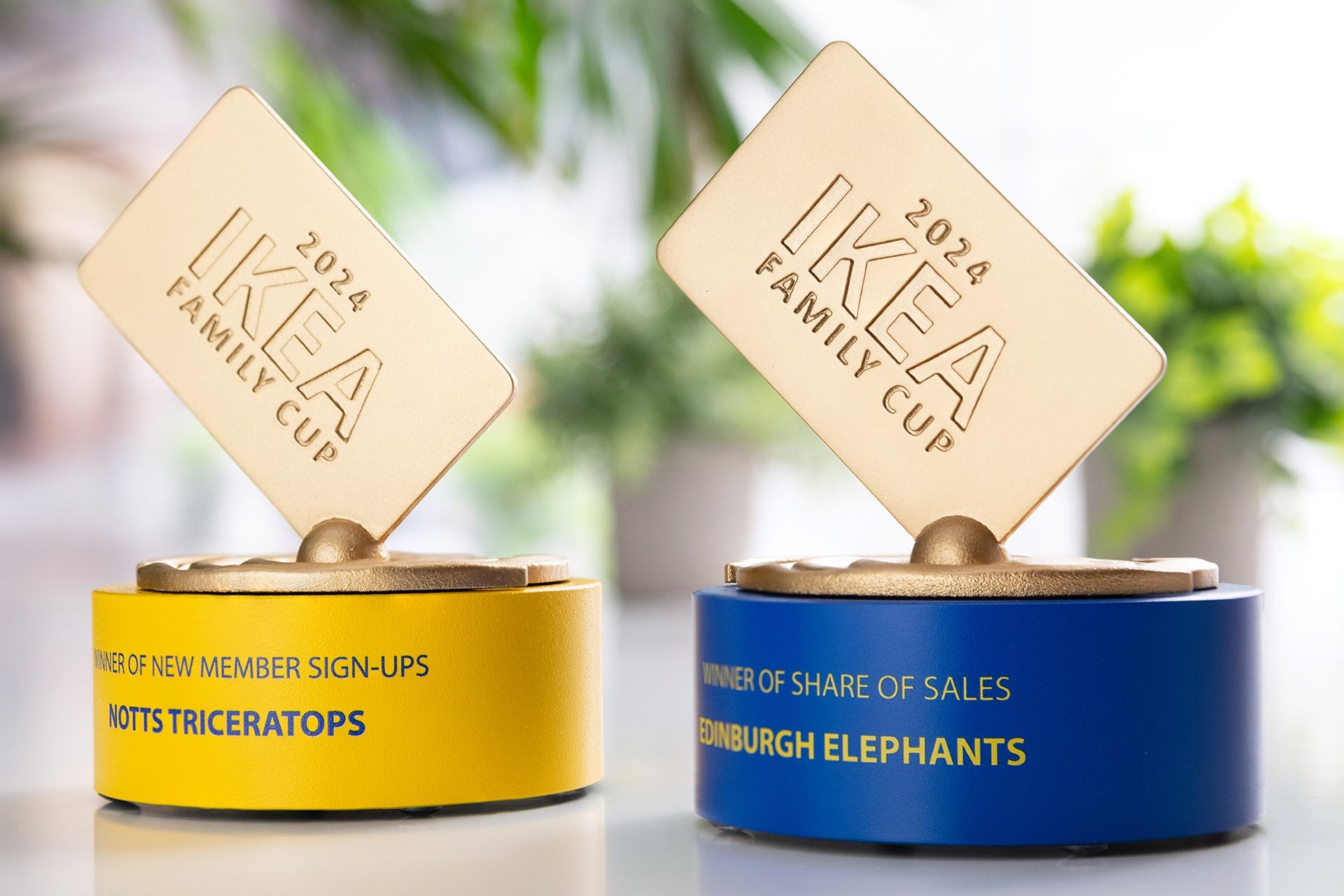 Glasso custom award